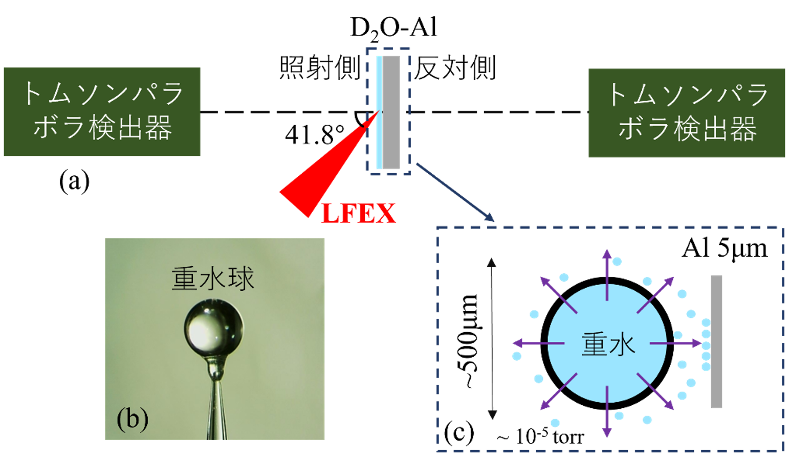 実験の模式図。