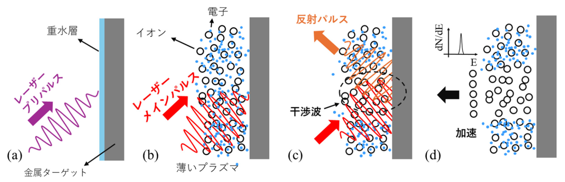 シミュレーションによるブーストされたクーロン爆発機構のメカニズム