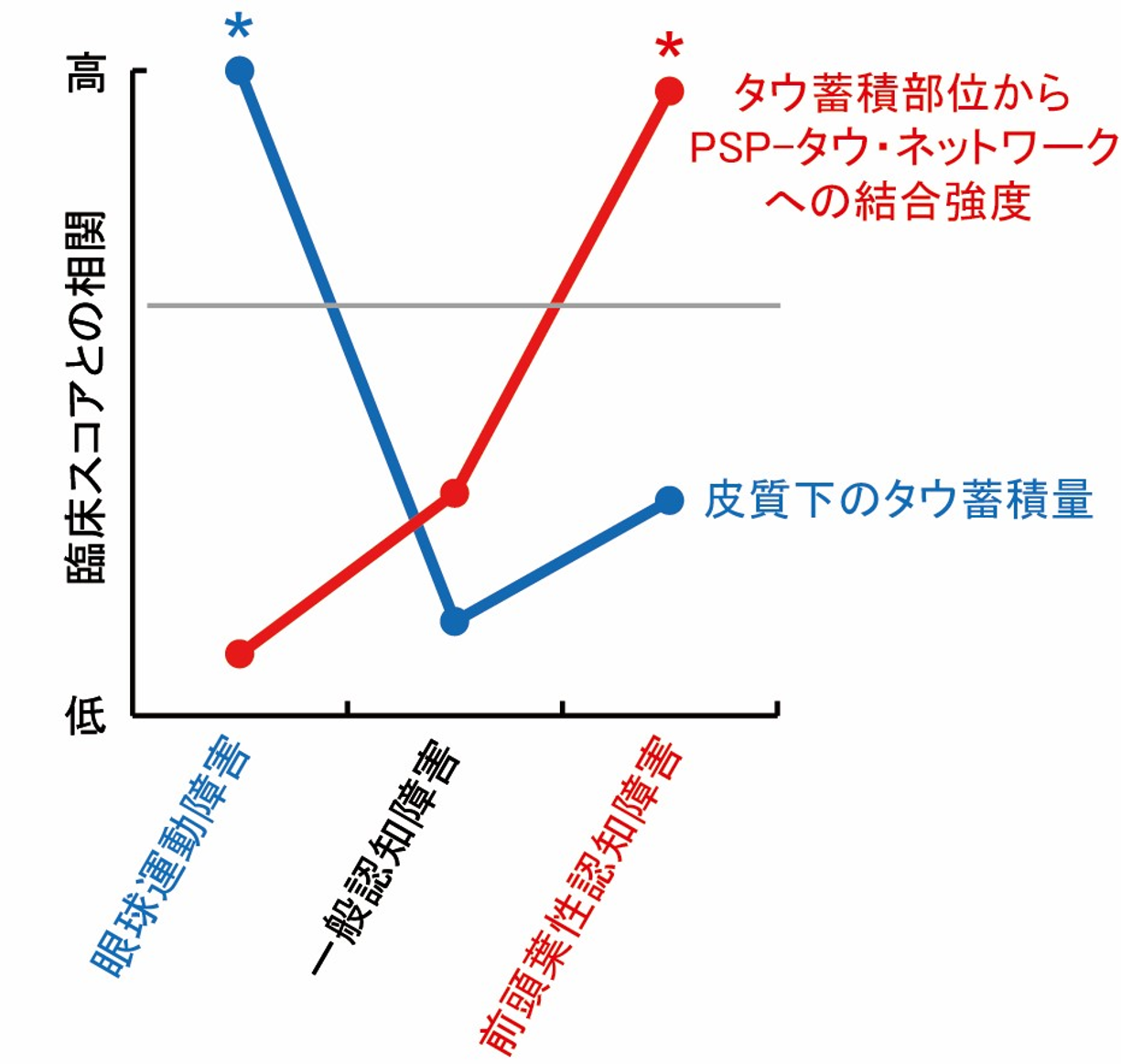 皮質下のタウ蓄積量、およびタウ蓄積部位からPSP-タウ・ネットワークへの結合の強さ と臨床スコアの相関。グレーの横線は統計的有意性の閾値、*は統計的有意な相関。
