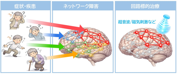 疾患・症状ごとに異なるネットワーク障害の同定と、 それを標的とした革新的な治療戦略