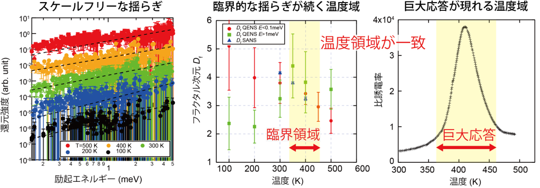 巨大応答を支える臨界的な揺らぎ