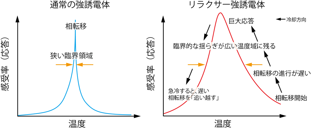 リラクサー強誘電体の巨大応答を説明する物理描像