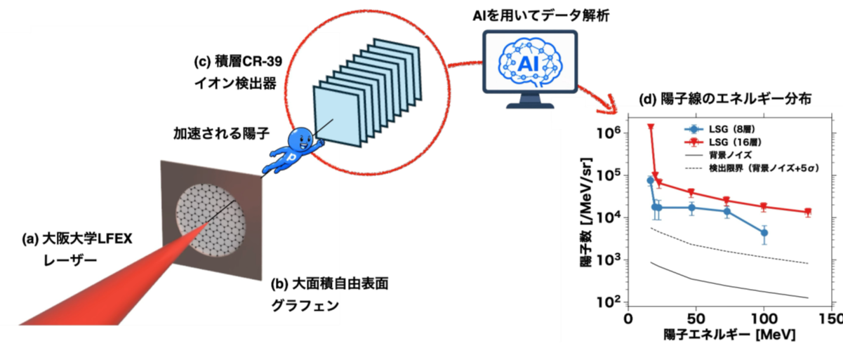 本研究の実験配置および検出された陽子のエネルギー分布。
