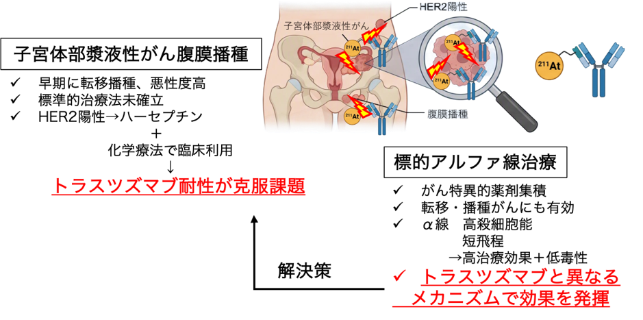 子宮体部漿液性がん治療の現状と標的アルファ線治療