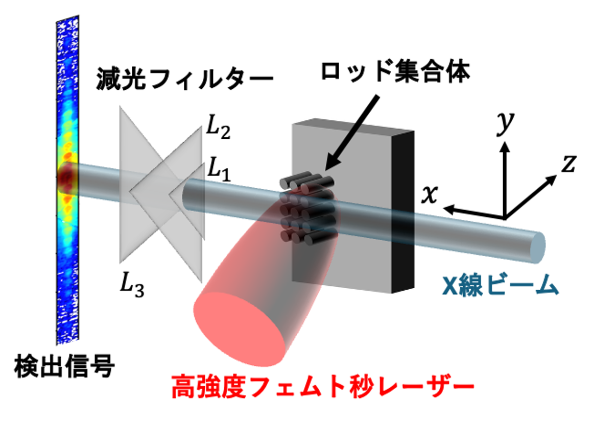 高強度フェムト秒レーザーによる微細ロッド集合体ターゲットのプラズマ化ダイナミクスに対するX線自由電子レーザーを用いた観測実験の概念図。