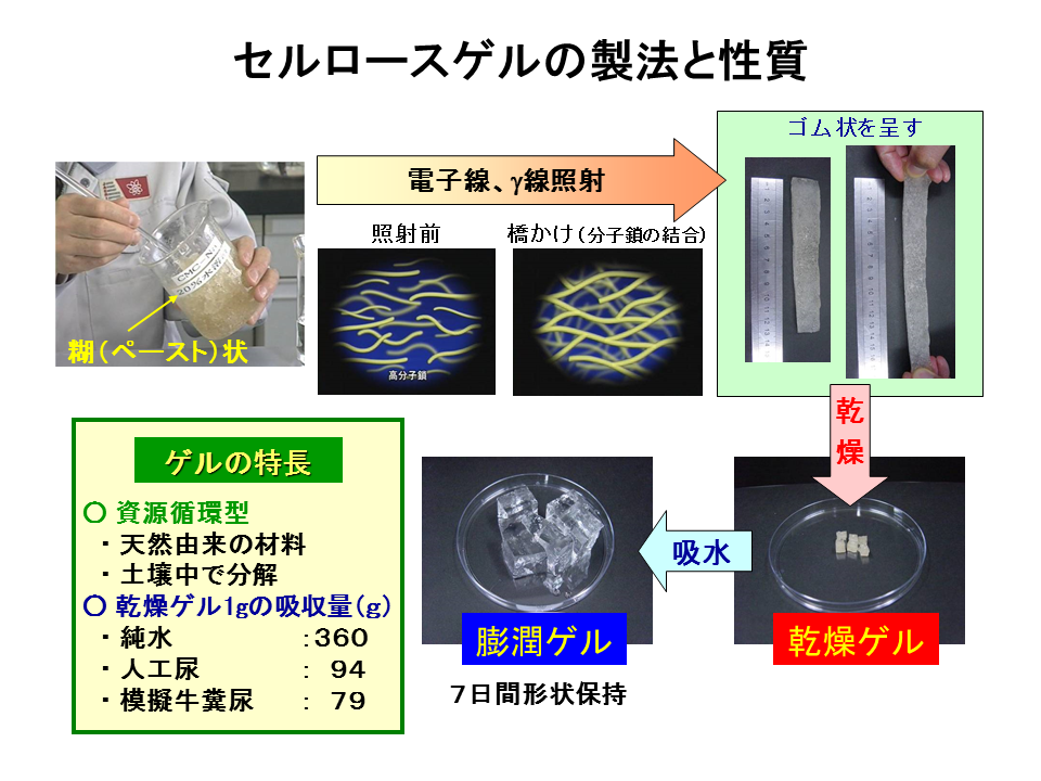 放射線橋かけによる生分解性ハイドロゲルの作製の画像