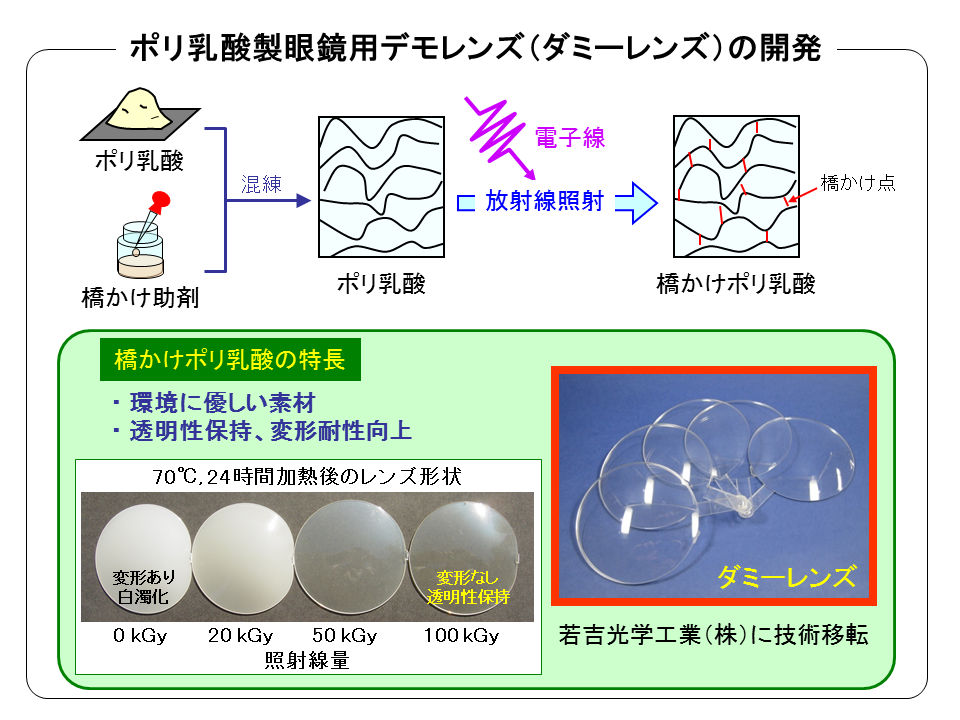 生分解性ダミーレンズの開発の画像