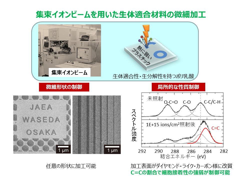 ポリ乳酸の微細加工・改質技術の開発発の画像