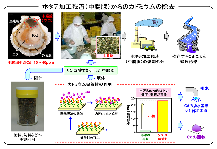 ホタテ加工残渣からのカドミウムの除去の画像