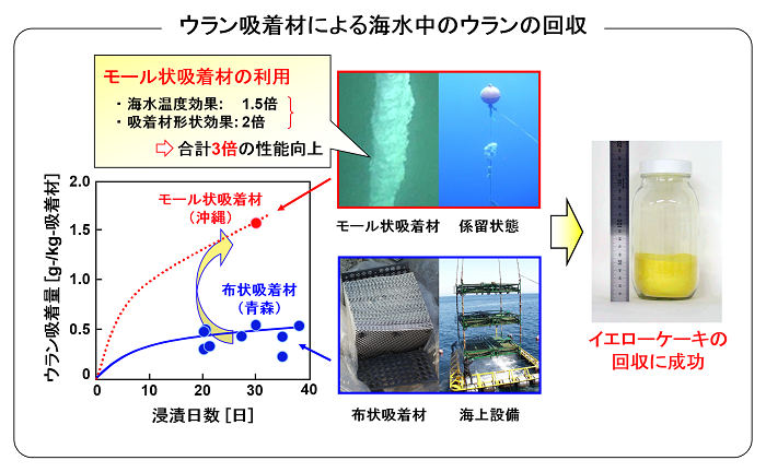 実海域試験の画像