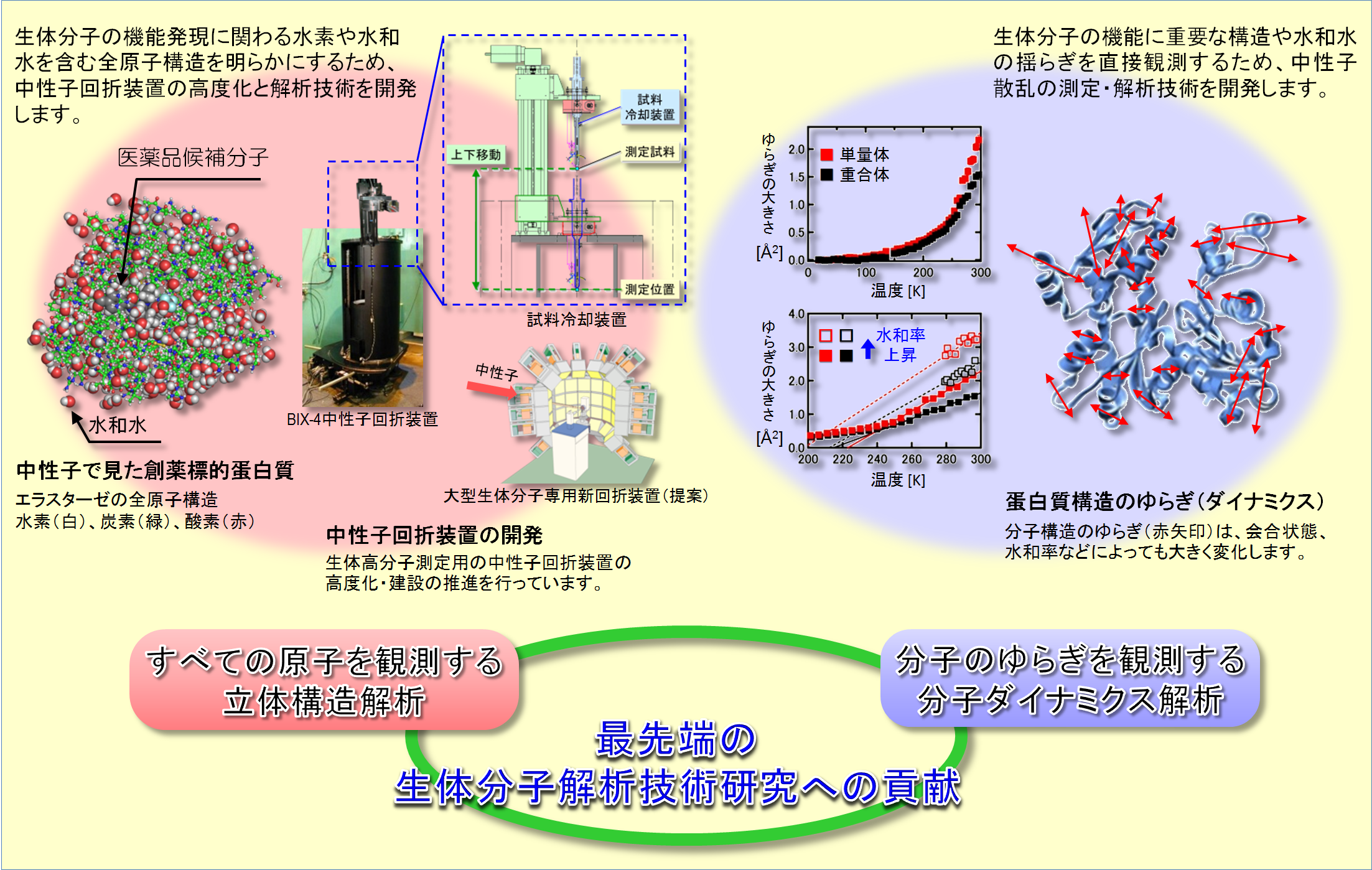 研究紹介の画像