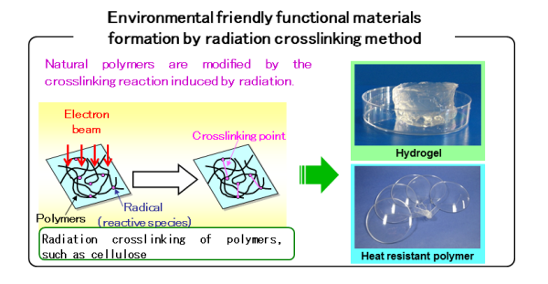 Environmental friendly functional materials formation by radiation crosslinking methodの画像