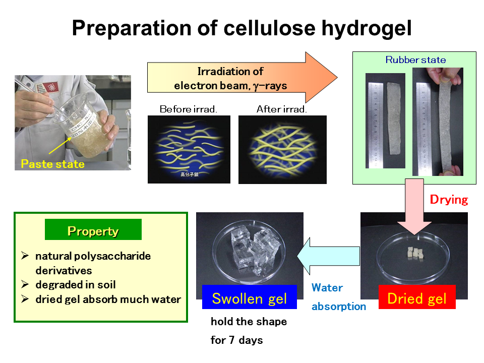 Preparation of cellulose hydrogelの画像