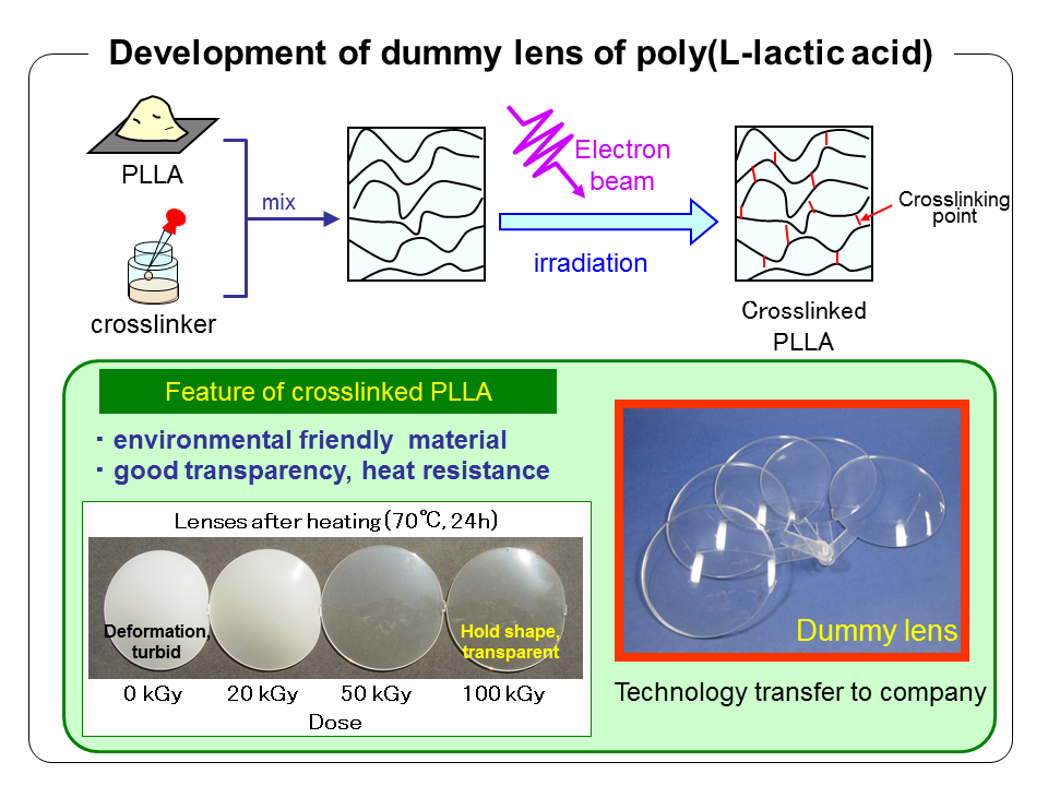 Development of dummy lens of of poly(L-lactic acid)の画像
