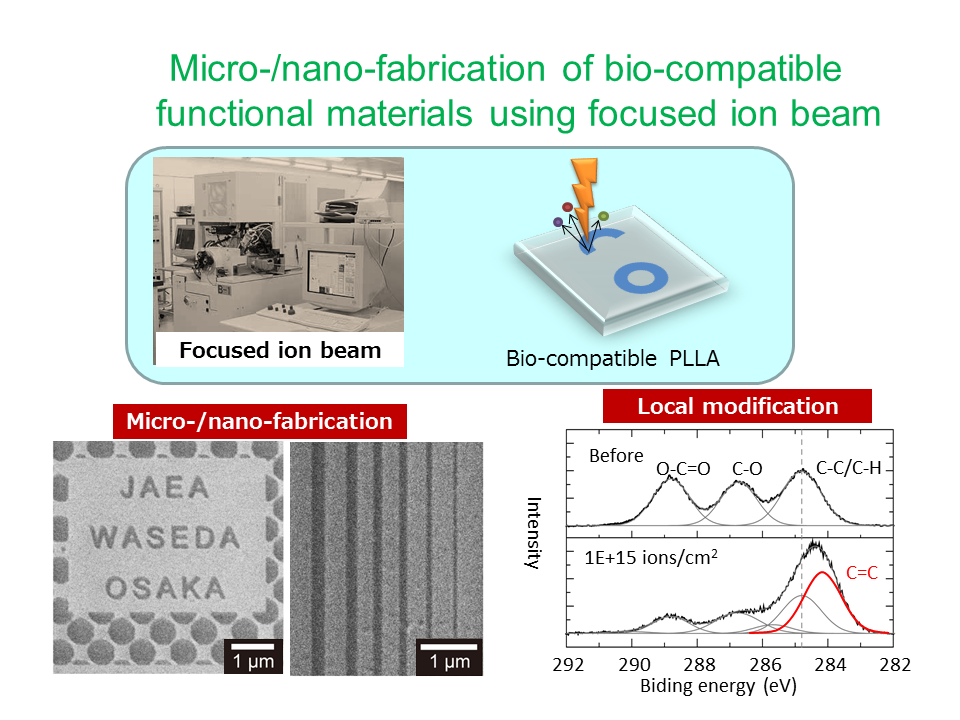 Micro-/nano-fabrication of bio-compatible functional materials using focused ion beamの画像