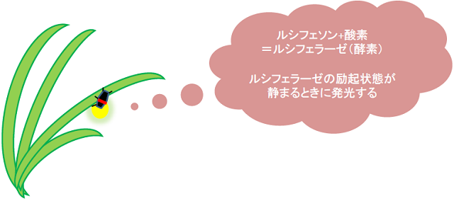 光はどのように発生するのかの画像3