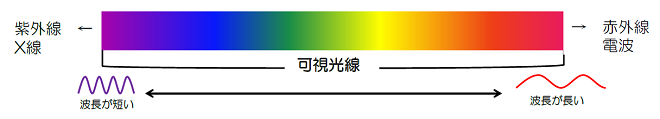 可視光線の画像