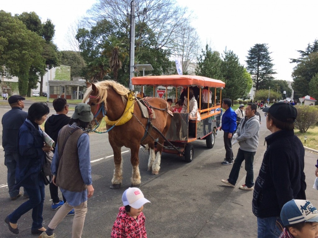 遊覧馬車の画像