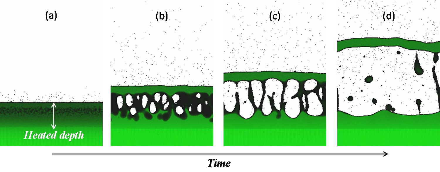 Ｘ線レーザーと物質との相互作用の解明を目指しての画像2