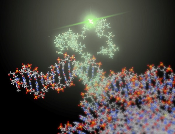 生体高分子のシミュレーション画像