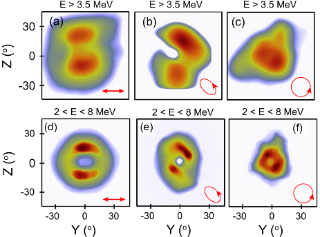 Fig.1