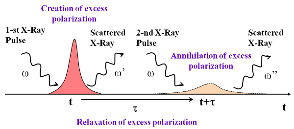 Intensity correlation spectroscopy by excitation and annihilation of excess polarization