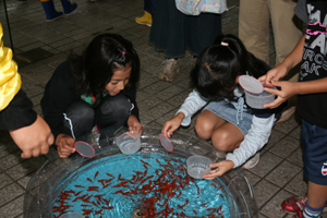 金魚すくい上手にすくえるかな？の画像