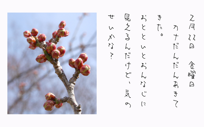 2月22日金曜日カナだんだんあきてきた。おとといとおんなじに見えるんだけど、気のせいかな？