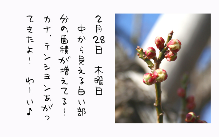 2月28日木曜日中から見える白い部分の面積が増えてる！カナ、テンションあがってきたよ！わーい