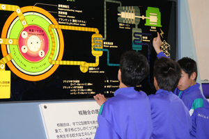 那珂市の地図、核融合発電の原理のパネルの画像2