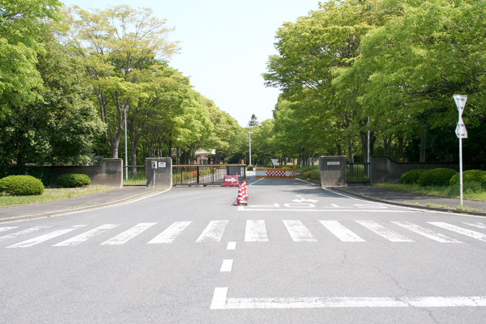 正門前の様子の画像