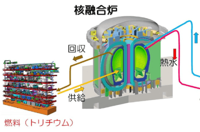 ブランケット研究開発部 概要・目的・組織体制