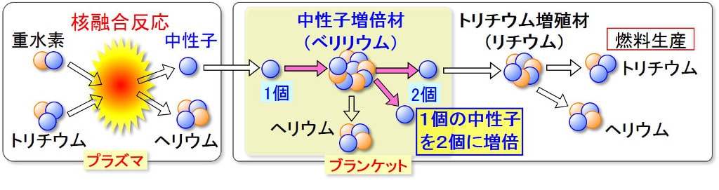 充填する材料選定(増殖機能材料開発グループ)の画像2