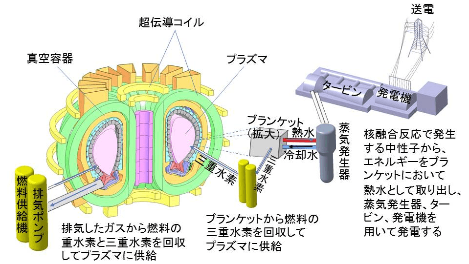 核融合炉の概念図の画像