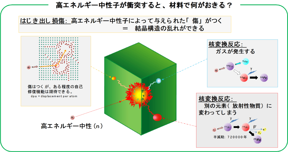 核融合炉材料研究開発部の画像1