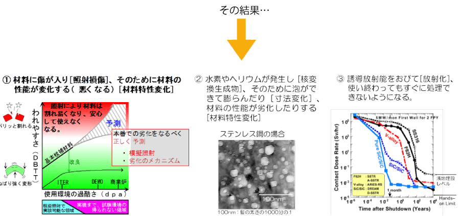 核融合炉材料研究開発部の画像2