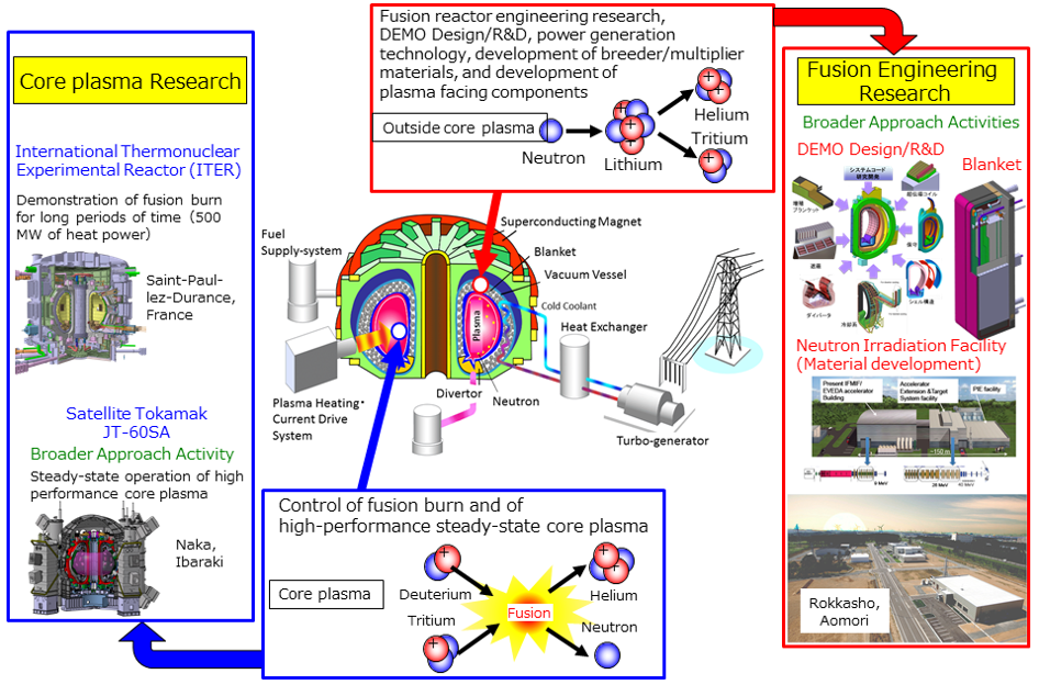 Role sharing of research and development at present and in the future toward fusion energyの画像
