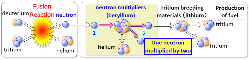 Selection of materials to be filled (Breeding Functional Materials Development Group)の画像2