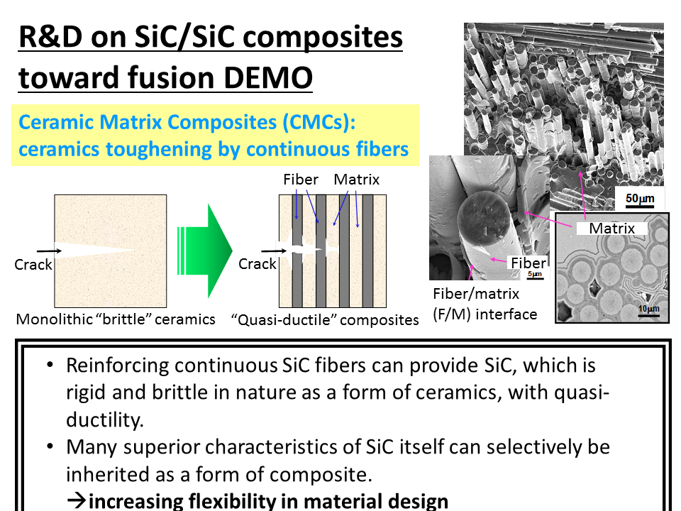 R&D on SiC/SiC compositesの画像3
