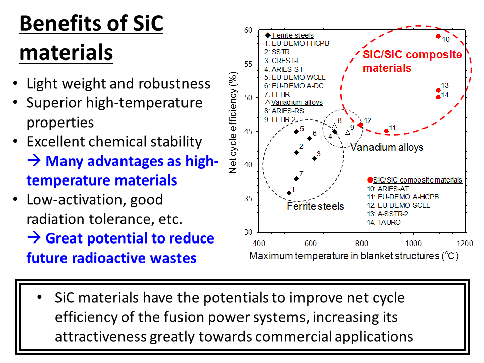 R&D on SiC/SiC compositesの画像2