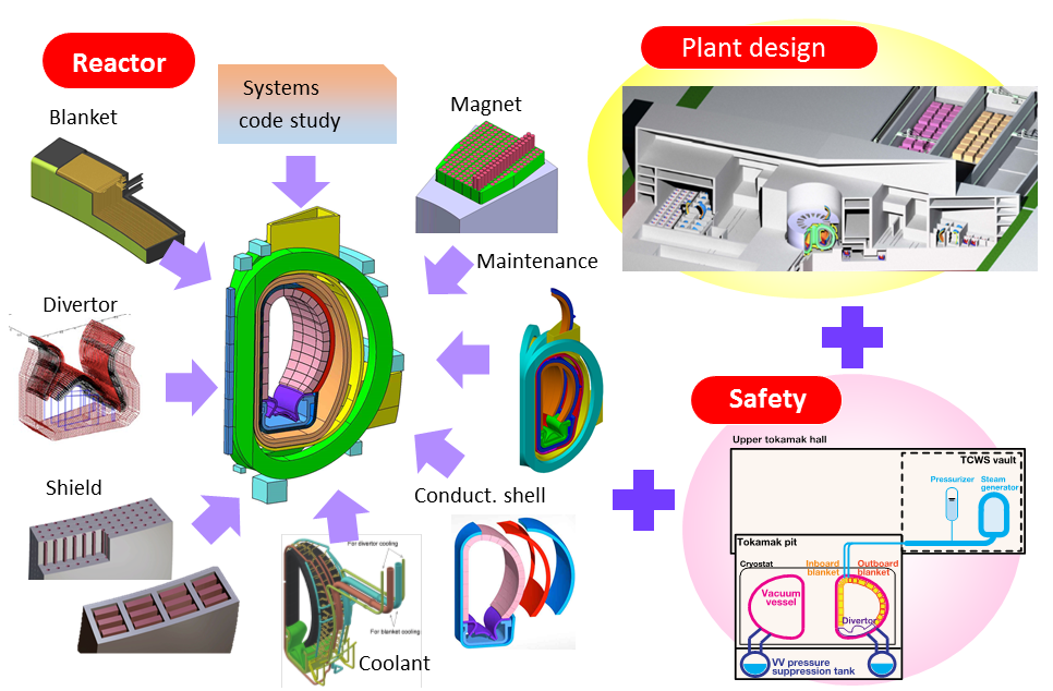 Fusion Reactor Design Groupの画像