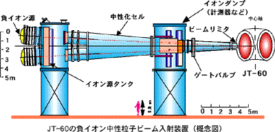 N-NBIの画像