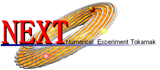 photo of Numerical EXperiment Tokamak (NEXT) Workshop