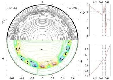 Fig.1.1: A snapshot of the nonlinear mode structure in the poloidal (X,Y) plane produced by a broad spectrum of double and triple kink-tearing modes with helicity m/n=1 is shown. The helical flux contours are shown in the top-left and the electric potential of the ExB flow in the bottom-left panel. The panels on the right show the instantaneous profiles of the current density (top) and safety factor (bottom). The original configuration has a central safety factor q(r=0) of about 0.7, three nearby q=1 rational surfaces, and the fastest growing harmonics have poloidal and toroidal mode numbers around m=n=13.