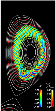 A typical eigenfunction of the ion temperature gradient driven mode in a ITER like configuration of JT-60SA.