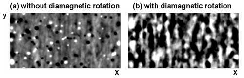 Self-organized structures of the ETG turbulence (b) with and (a) without the diamagnetic plasma rotation or the density gradient.