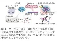 本研究の概要図