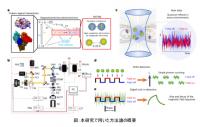 方法論の概要