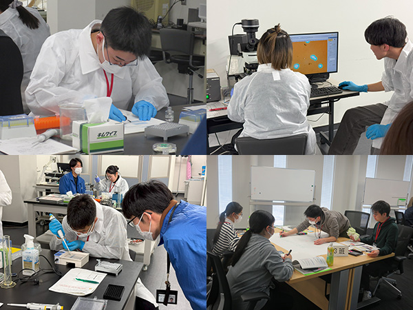 放射線防護のための生命科学コース 実習風景写真