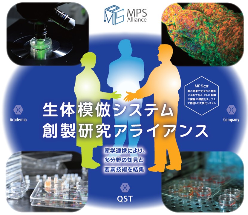 TOP画面用イラスト